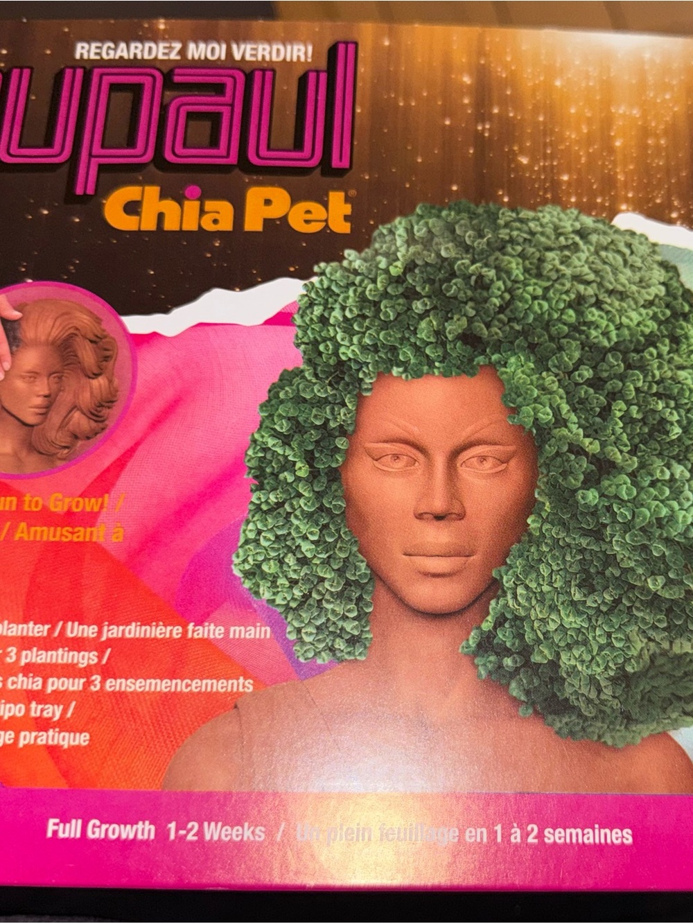 Chia Pet - Ru Paul Planter